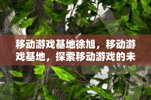 移动游戏基地徐旭,移动游戏基地,探索移动游戏的未来趋势与无限可能 移动游戏基地徐旭,移动游戏基地,探索移动游戏的未来趋势与无限可能