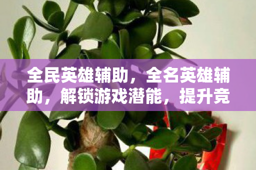 全民英雄辅助，全名英雄辅助，解锁游戏潜能，提升竞技体验