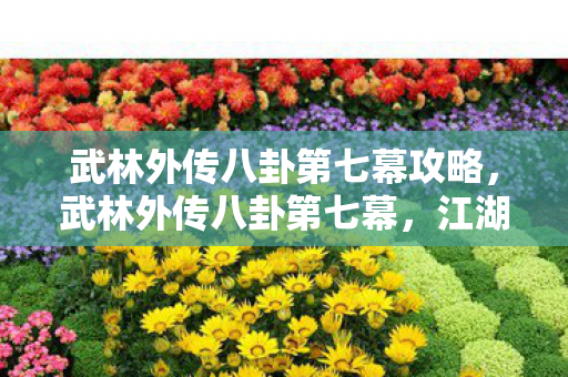 武林外传八卦第七幕攻略，武林外传八卦第七幕，江湖传言再起风云