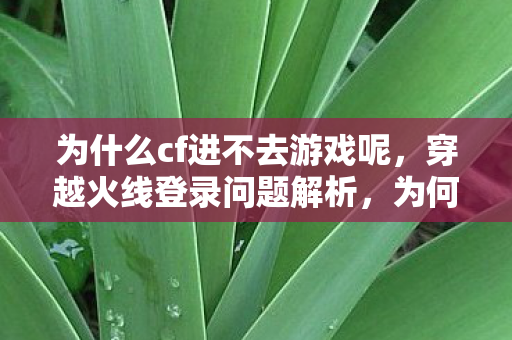 为什么cf进不去游戏呢，穿越火线登录问题解析，为何CF进不去？