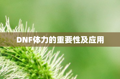 DNF体力的重要性及应用