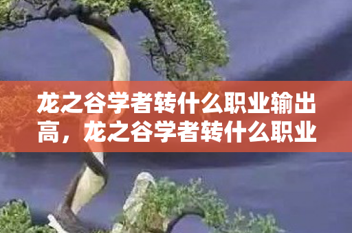 龙之谷学者转什么职业输出高，龙之谷学者转什么职业好