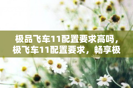 极品飞车11配置要求高吗，极飞车11配置要求，畅享极速，你需要这些硬件支持