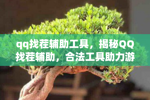 qq找茬辅助工具，揭秘QQ找茬辅助，合法工具助力游戏升级