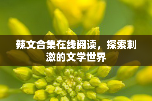 辣文合集在线阅读,探索刺激的文学世界 辣文合集在线阅读,探索刺激的文学世界