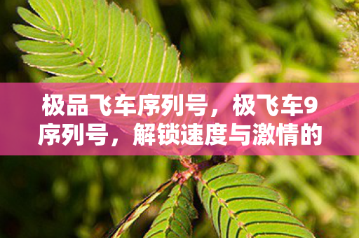 极品飞车序列号，极飞车9序列号，解锁速度与激情的钥匙