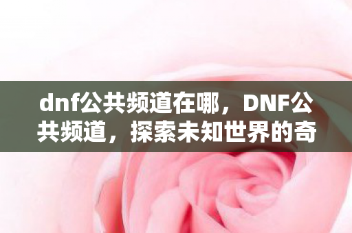 dnf公共频道在哪，DNF公共频道，探索未知世界的奇妙之旅