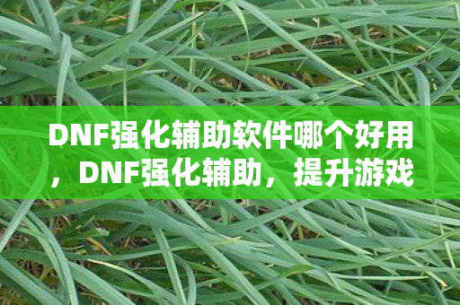 DNF强化辅助软件哪个好用，DNF强化辅助，提升游戏效率，安全合法是关键