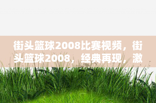 街头篮球2008比赛视频，街头篮球2008，经典再现，激情燃烧的岁月