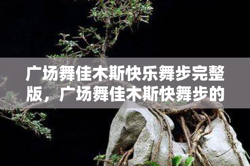 广场舞佳木斯快乐舞步完整版，广场舞佳木斯快舞步的魅力与技巧解析