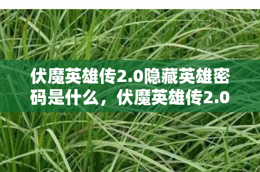 伏魔英雄传2.0隐藏英雄密码是什么,伏魔英雄传2.0,解锁隐藏英雄密码的奇幻之旅 伏魔英雄传2.0隐藏英雄密码是什么,伏魔英雄传2.0,解锁隐藏英雄密码的奇幻之旅