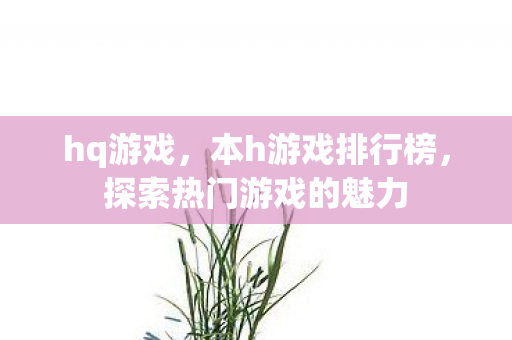 hq游戏，本h游戏排行榜，探索热门游戏的魅力