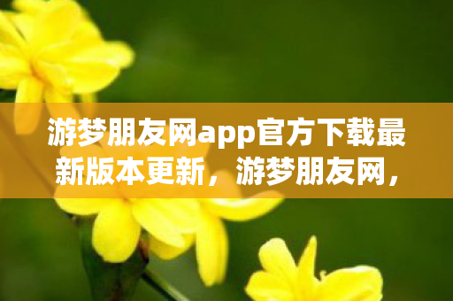 游梦朋友网app官方下载最新版本更新，游梦朋友网，探索虚拟世界的无限可能