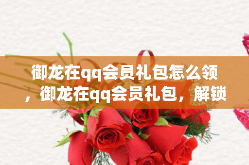 御龙在qq会员礼包怎么领,御龙在qq会员礼包,解锁专属福利,畅享游戏新体验 御龙在qq会员礼包怎么领,御龙在qq会员礼包,解锁专属福利,畅享游戏新体验