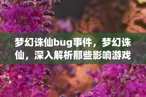 梦幻诛仙bug事件，梦幻诛仙，深入解析那些影响游戏体验的bug
