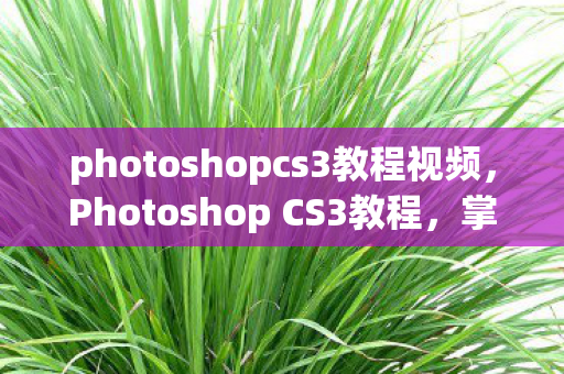 photoshopcs3教程视频，Photoshop CS3教程，掌握经典工具，重塑图像艺术