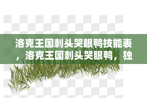 洛克王国刺头哭眼鸭技能表，洛克王国刺头哭眼鸭，独特魅力与战斗技巧解析