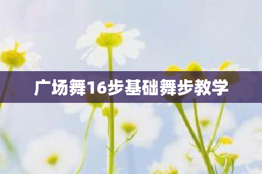 广场舞16步基础舞步教学