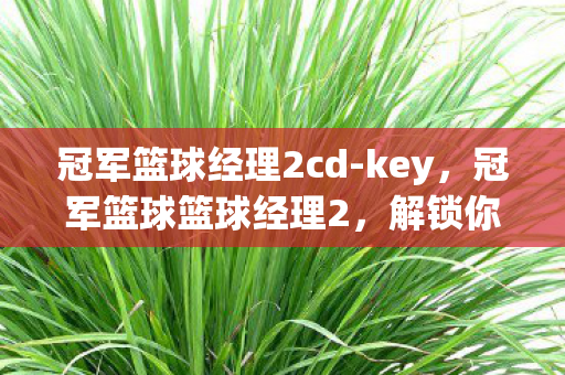 冠军篮球经理2cd-key，冠军篮球篮球经理2，解锁你的篮球管理之旅