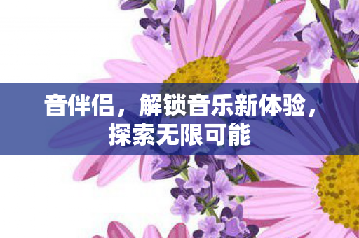 音伴侣，解锁音乐新体验，探索无限可能