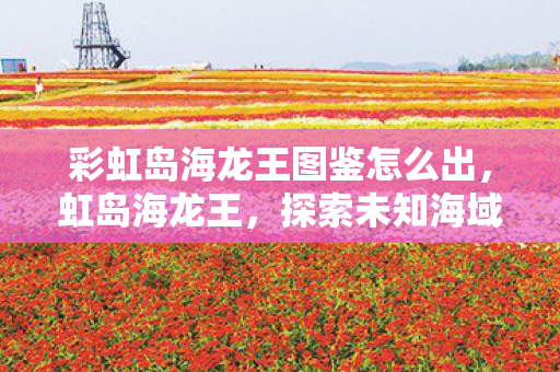 彩虹岛海龙王图鉴怎么出，虹岛海龙王，探索未知海域的奇幻之旅