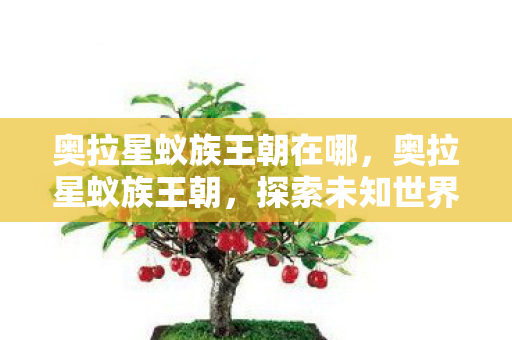 奥拉星蚁族王朝在哪，奥拉星蚁族王朝，探索未知世界的奇妙旅程