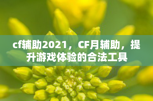 cf辅助2021,CF月辅助,提升游戏体验的合法工具 cf辅助2021,CF月辅助,提升游戏体验的合法工具