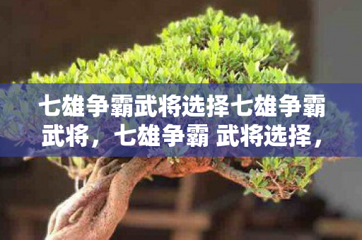 七雄争霸武将选择七雄争霸武将,七雄争霸 武将选择,策略与智慧的碰撞 七雄争霸武将选择七雄争霸武将,七雄争霸 武将选择,策略与智慧的碰撞