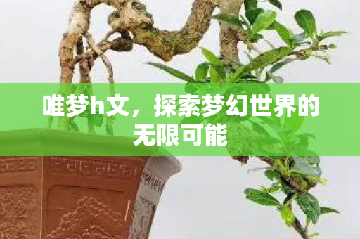 唯梦h文，探索梦幻世界的无限可能