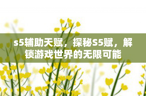 s5辅助天赋，探秘S5赋，解锁游戏世界的无限可能