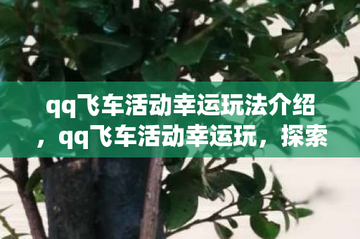 qq飞车活动幸运玩法介绍，qq飞车活动幸运玩，探索无限可能，畅享极速体验