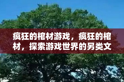 疯狂的棺材游戏，疯狂的棺材，探索游戏世界的另类文化