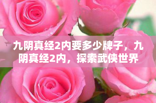 九阴真经2内要多少牌子，九阴真经2内，探索武侠世界的深度与广度