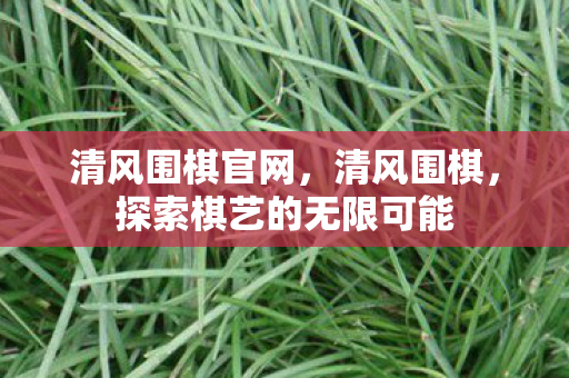 清风围棋官网,清风围棋,探索棋艺的无限可能 清风围棋官网,清风围棋,探索棋艺的无限可能