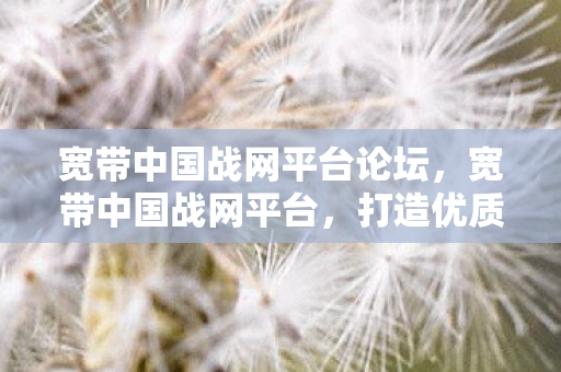 宽带中国战网平台论坛，宽带中国战网平台，打造优质游戏体验的基石