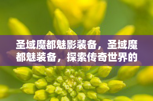 圣域魔都魅影装备,圣域魔都魅装备,探索传奇世界的神秘力量 圣域魔都魅影装备,圣域魔都魅装备,探索传奇世界的神秘力量