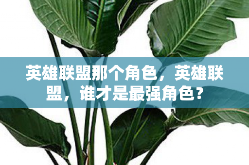 英雄联盟那个角色,英雄联盟,谁才是最强角色? 英雄联盟那个角色,英雄联盟,谁才是最强角色?