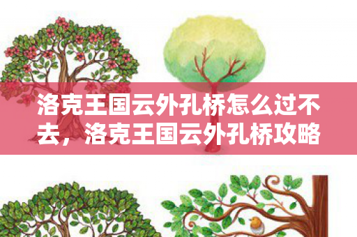 洛克王国云外孔桥怎么过不去，洛克王国云外孔桥攻略