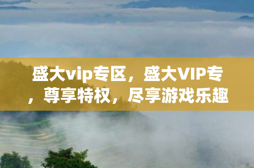 盛大vip专区，盛大VIP专，尊享特权，尽享游戏乐趣
