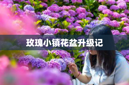 玫瑰小镇花盆升级记