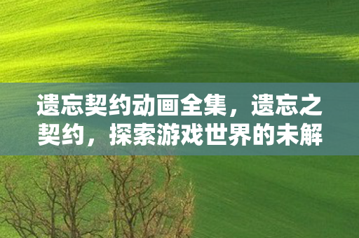 遗忘契约动画全集，遗忘之契约，探索游戏世界的未解之谜