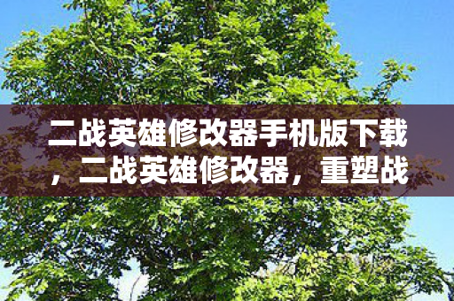 二战英雄修改器手机版下载,二战英雄修改器,重塑战场的神秘工具 二战英雄修改器手机版下载,二战英雄修改器,重塑战场的神秘工具