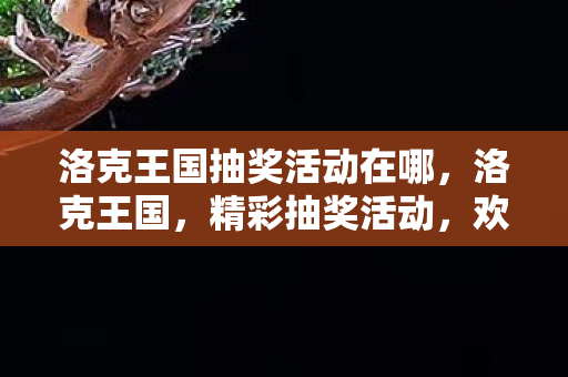 洛克王国抽奖活动在哪，洛克王国，精彩抽奖活动，欢乐无限