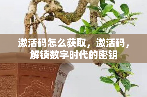激活码怎么获取，激活码，解锁数字时代的密钥
