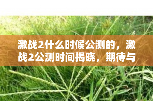 激战2什么时候公测的，激战2公测时间揭晓，期待与你的战场相遇