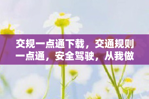 交规一点通下载,交通规则一点通,安全驾驶,从我做起 交规一点通下载,交通规则一点通,安全驾驶,从我做起