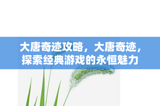 大唐奇迹攻略,大唐奇迹,探索经典游戏的永恒魅力 大唐奇迹攻略,大唐奇迹,探索经典游戏的永恒魅力
