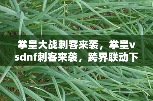 拳皇大战刺客来袭，拳皇vsdnf刺客来袭，跨界联动下的游戏新体验
