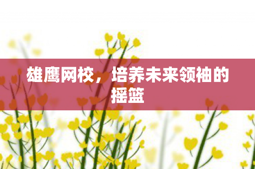 雄鹰网校，培养未来领袖的摇篮