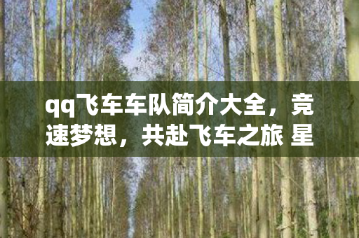 qq飞车车队简介大全，竞速梦想，共赴飞车之旅 星辰速影车队简介